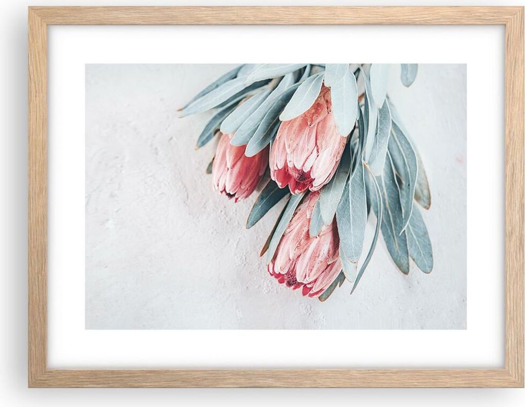 Gerahmtes Poster - Rahmen in heller Eiche - Blume Eukalyptus Australier - 40x30 cm - Wand Bild - Wanddeko - Wandbilder - Kunstposter - Wandposter -...