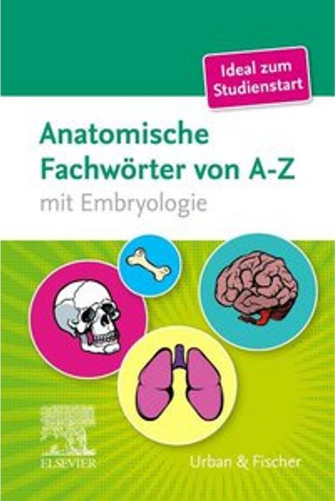 Anatomische Fachwörter von A-Z