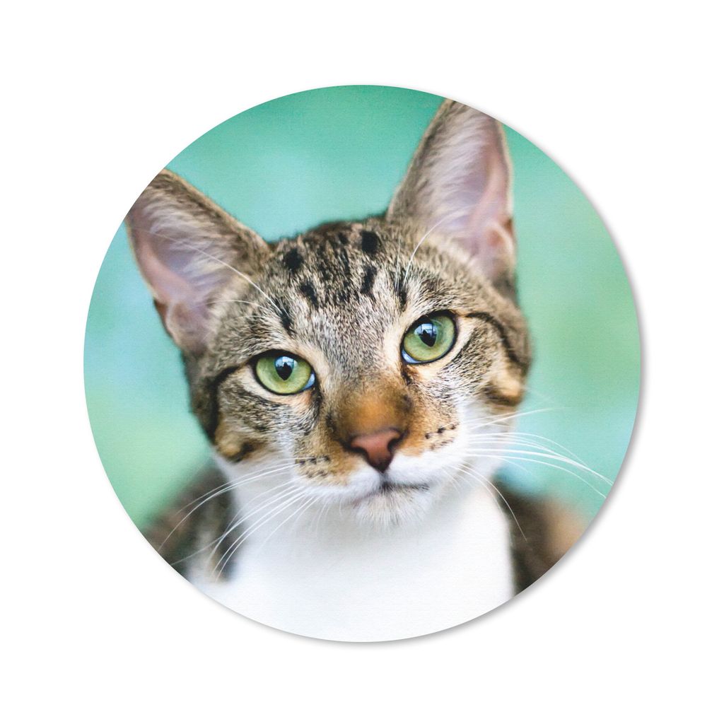MuchoWow Mauspad Mousepad Katze - Porträt - Augen 30x30 cm - Mousepads - Maus Mat - Pad - Mausunterlage - Tischunterlage - Schreibtischmatten