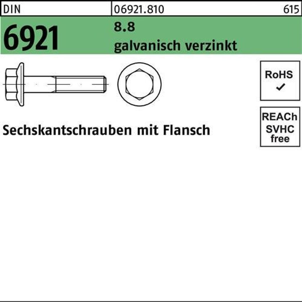 Reyher 6kt.schr. mit Flansch DIN 6921 8.8 M 8 x 20 galv. vz (200 Stück)