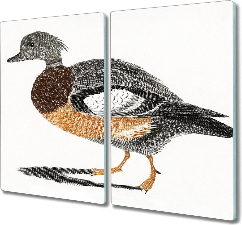Coloray Küchenbrett Kochplattenabdeckung Hackbrett Schneidebrett Herdabdeckplatte 2x30x52 cm - Tier Vogel