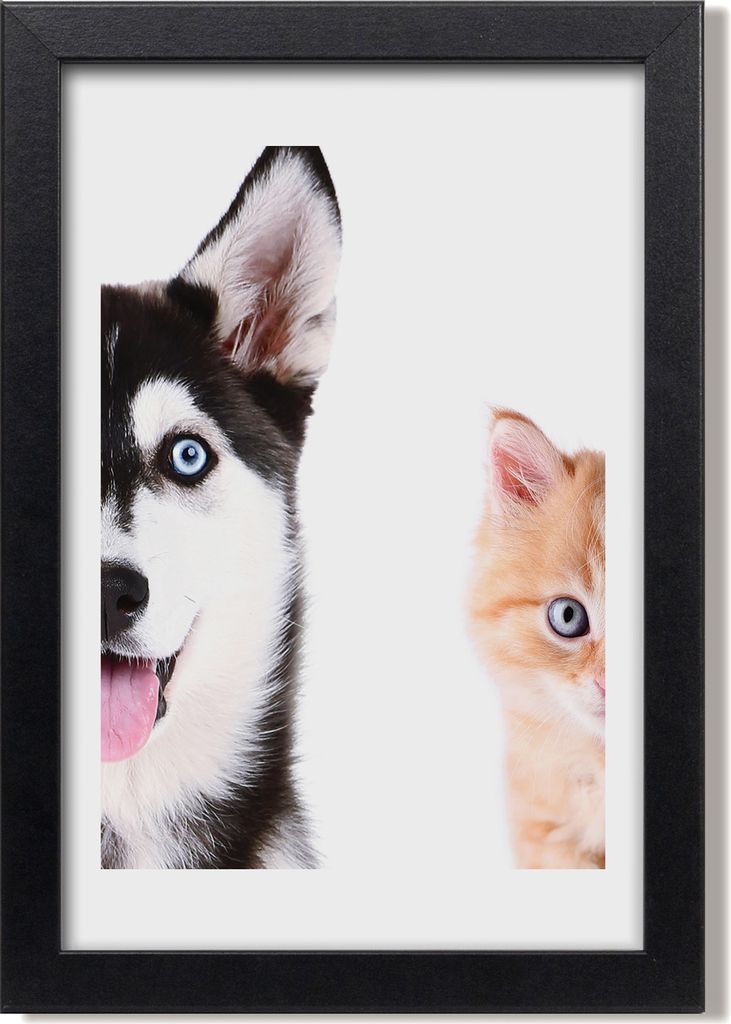 Bild 20x30 MDF-Rahmen, Wandkunst Hund und Katze