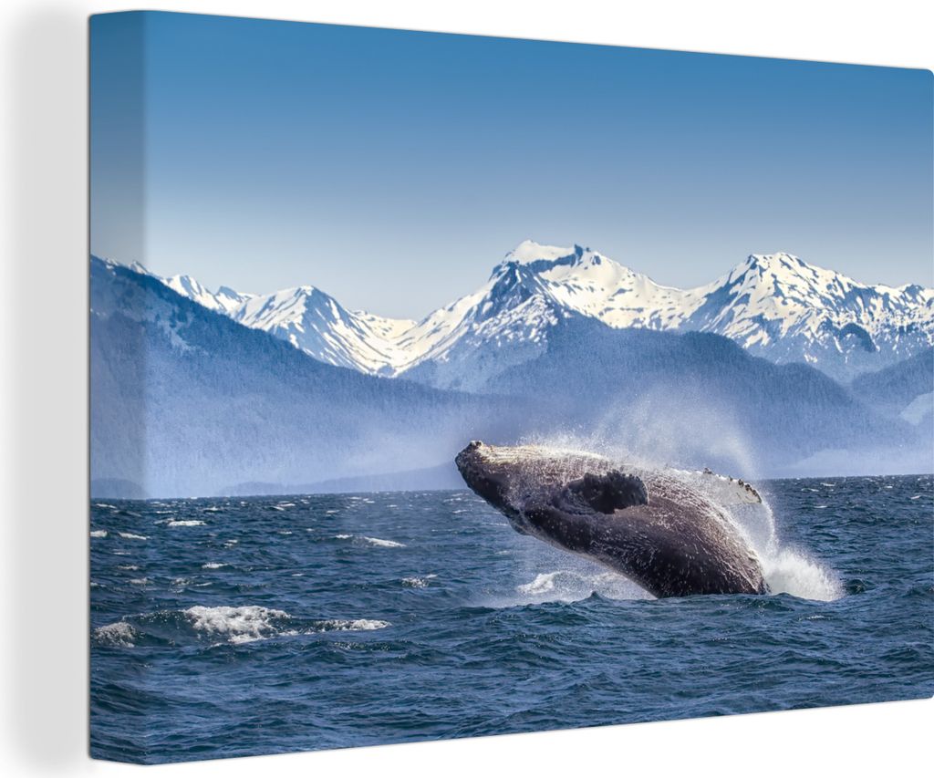 OneMillionCanvasses - Leinwandbilder - 150x100 cm, Ein Buckelwal im Meer, der sich aus dem Wasser erhebt, Wandbilder Kunstdruck Wanddekoration