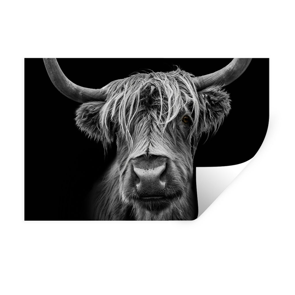MuchoWow Wandtattoo Wandsticker Wandaufkleber Schottischer Highlander - Hörner - Schwarz - Weiß - Kuh - Wild - Tiere 30x20 cm Selbstklebend und...