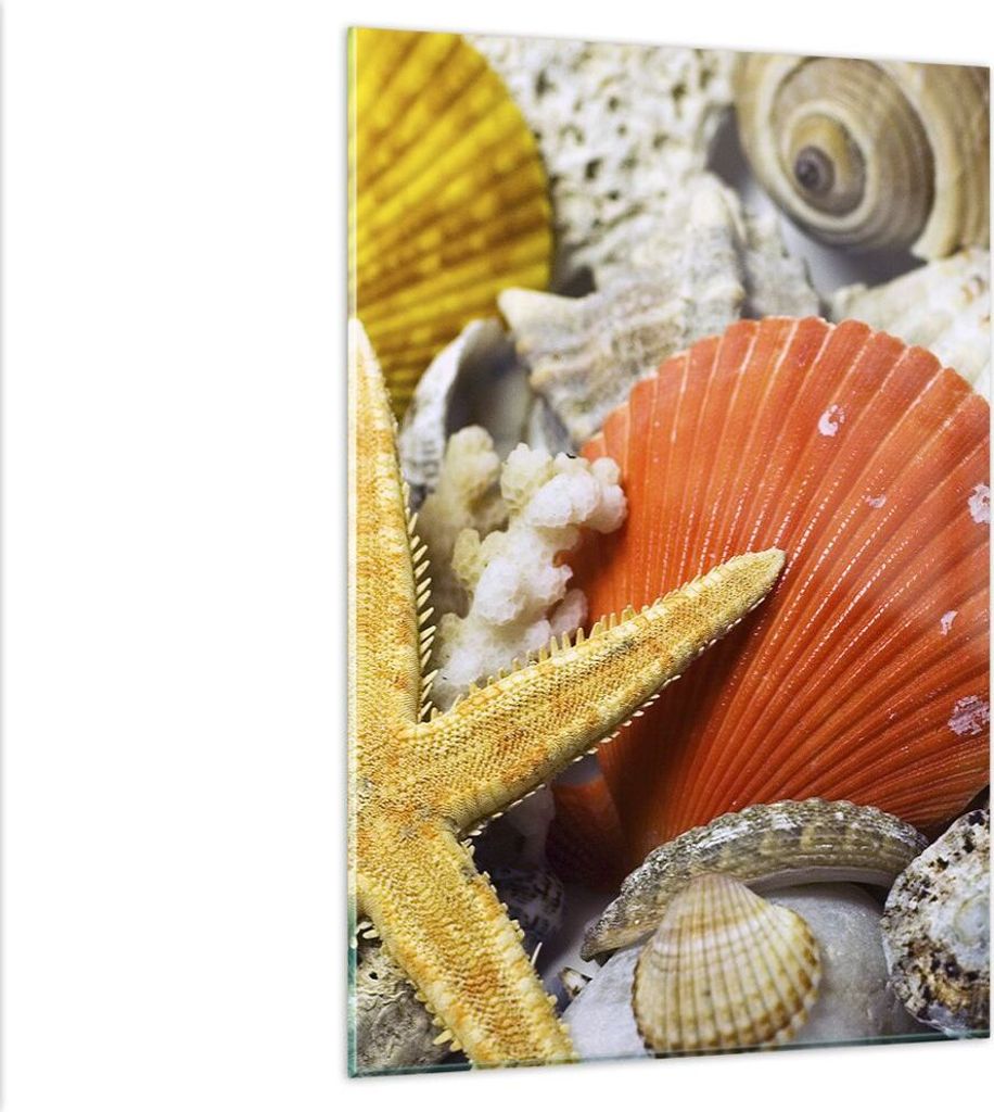 Bilder auf glas - Einteilig - Seashell Meer Strand Sand - 80x120cm - Glasbilder - Wandbilder - Bilder - Wanddekoration aus Glas - Glas Bilder - Wan...