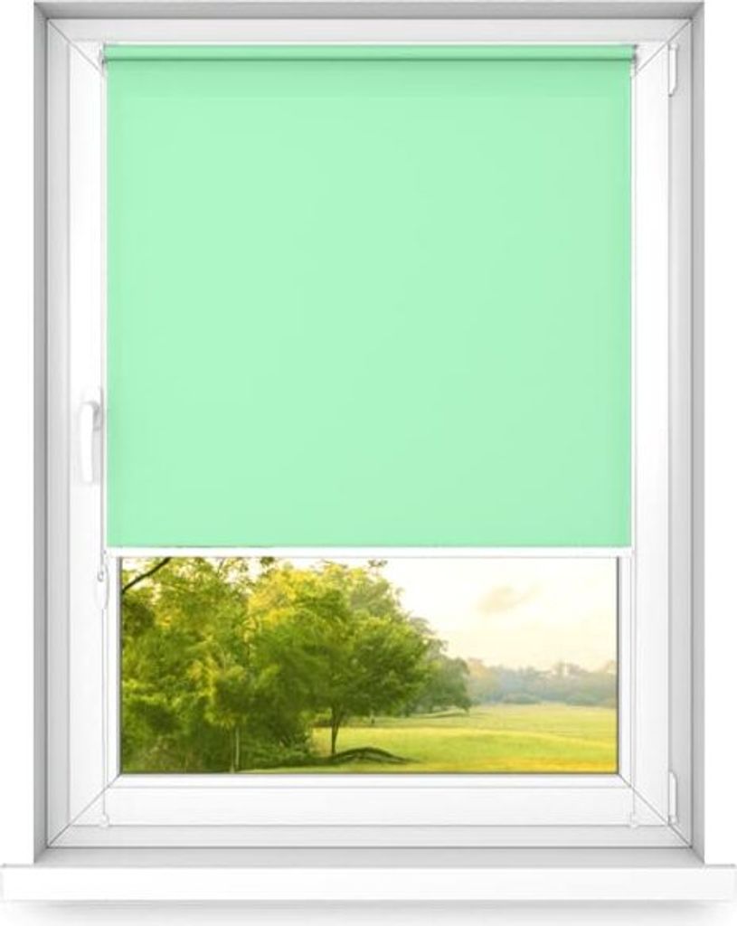 time4blinds, Mini Rollo Basic, Fensterrollo, Pistazie-linke, 50x100cm
