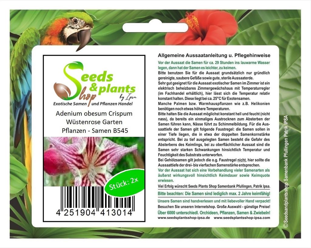 2x Adenium obesum Crispum Wüstenrose Garten Pflanzen - Samen B545