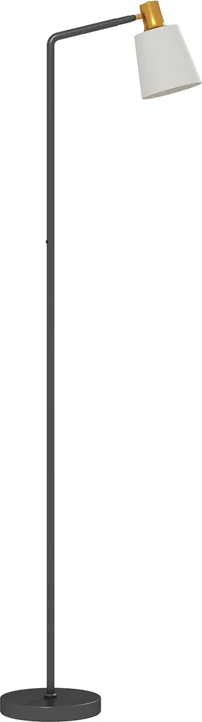 Luminaire de lecture LED avec tête ajustable et éclairage modulable