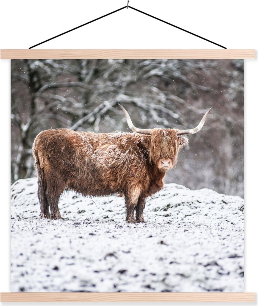 MuchoWow Textilposter Schottisches Hochlandrind - Baum - Schnee 60x60 cm mit holzfarbenen Rahmen - Wanddekoration