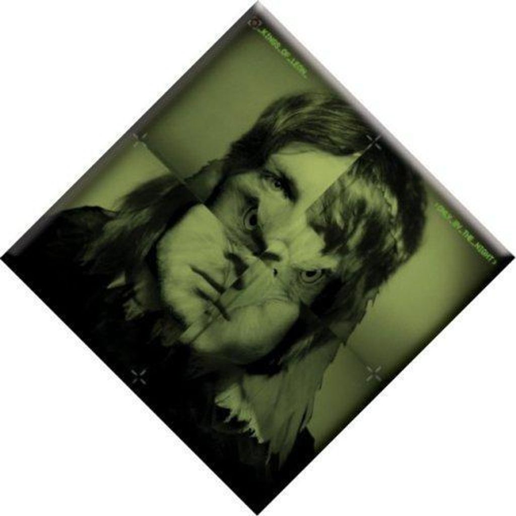 Kings Of Leon - Kühlschrank-Magnet "Only By The Night", Plattenhülle RO8871 (Einheitsgröße) (Grün)
