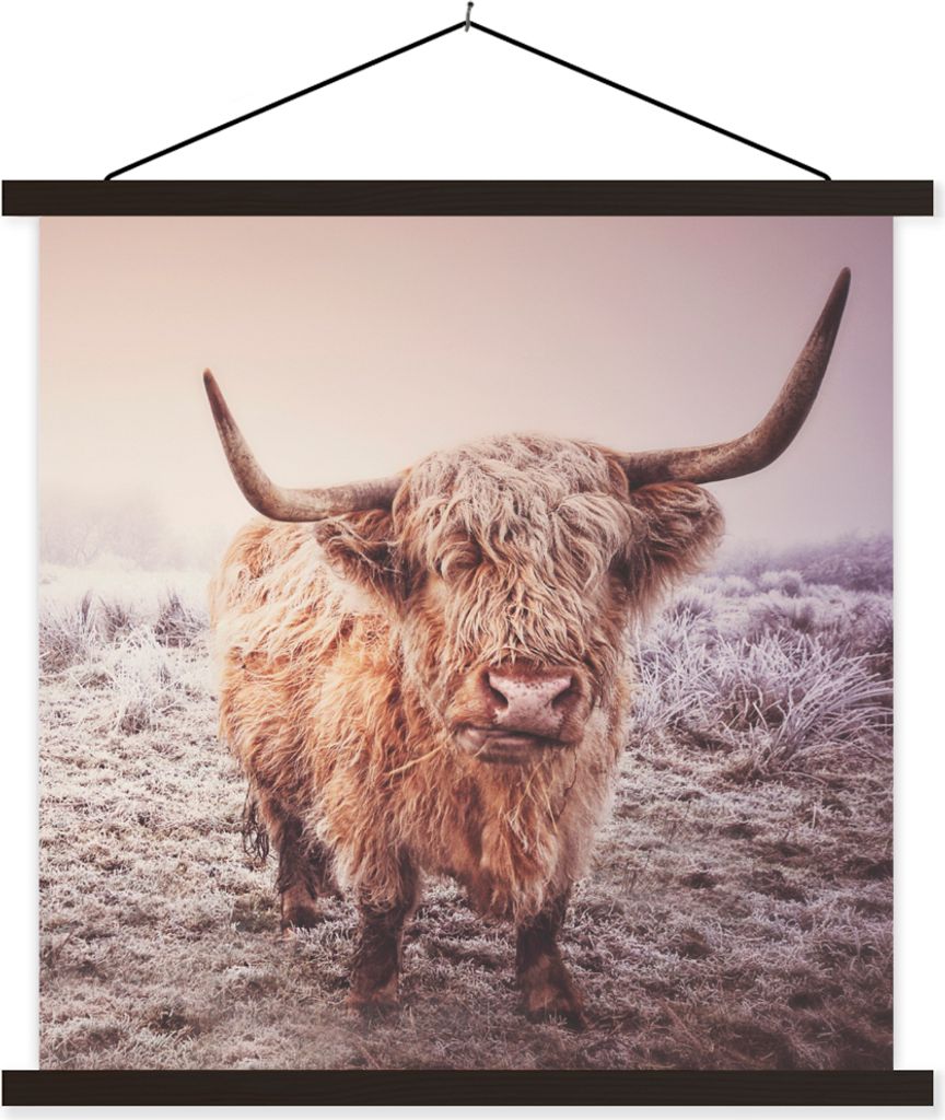 MuchoWow Textilposter Schottische Hochlandrind - Schnee - Sonne 40x40 cm mit schwarzem Rahmen - Fotos