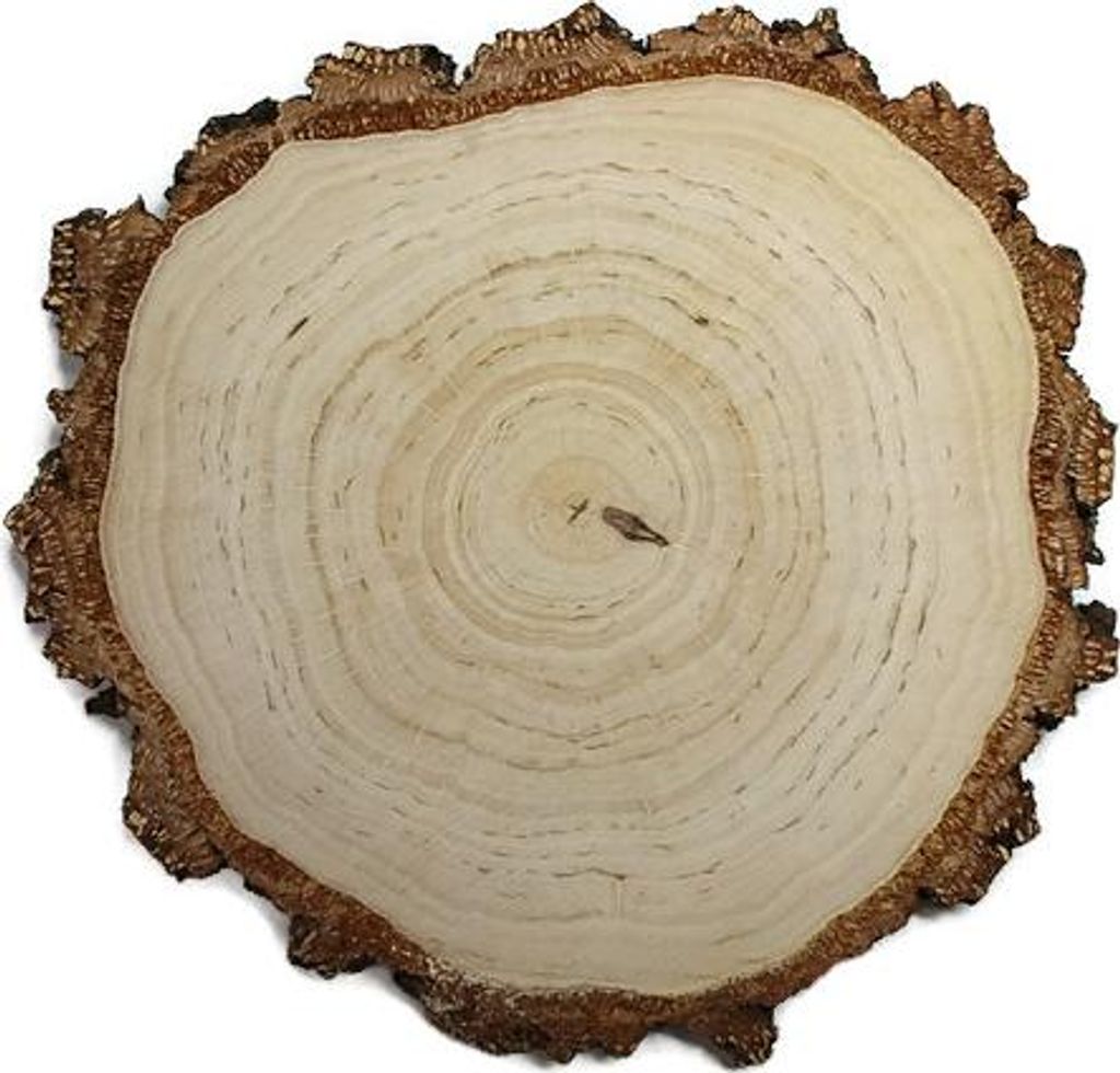 Holzscheibe Birke geschliffen 30-32 cm / 2,5 cm Produktbild 