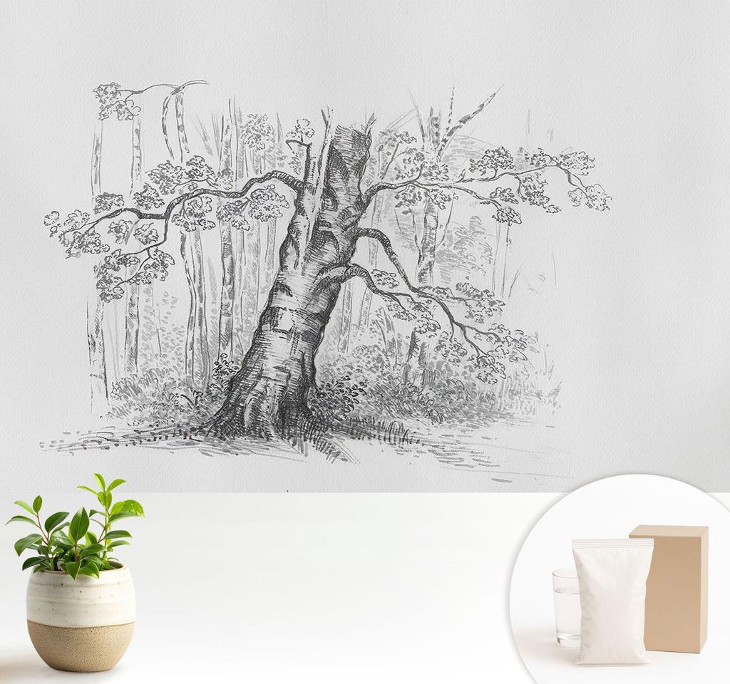 Fototapete - 104x70 cm - Tapete - Wandtapete - Wandbilder - Dekofolie - Tapete Folie - Wand - Dekoration - Wohnzimmer - Waldbaum