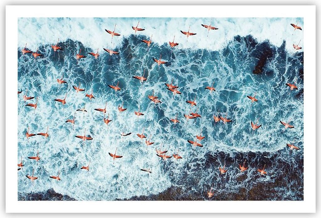 Poster - Poster ohne Rahmen - Flamingos Karibik Vögel - 91,5x61 cm - Wand Bild - Wanddeko - Wandbilder - Kunstposter - Wandposter - Bilder - Kunst...