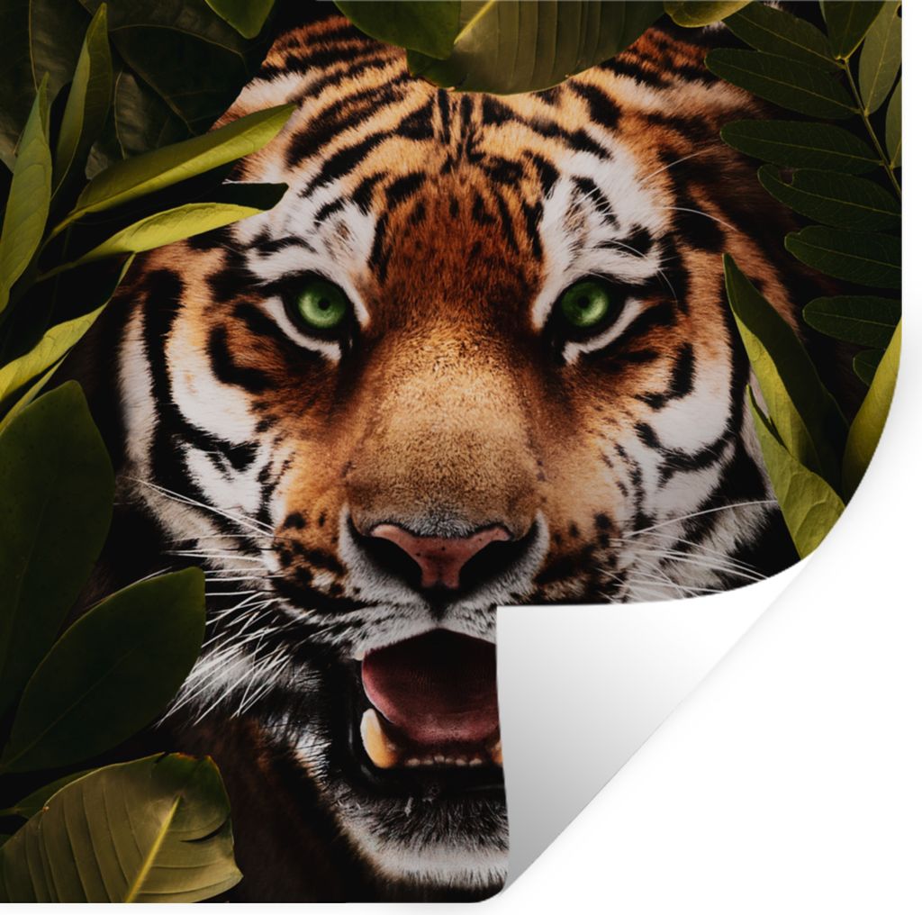 MuchoWow - Wierderverwendbar - Selbstklebend