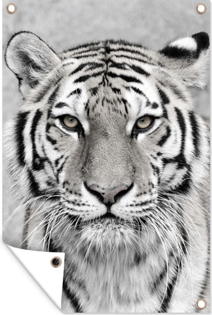 MuchoWow 40x60 cm Outdoor-Poster Gartendeko Sichtschutz Garten Poster für den Garten Tiger - Natur - Schwarz - Weiß