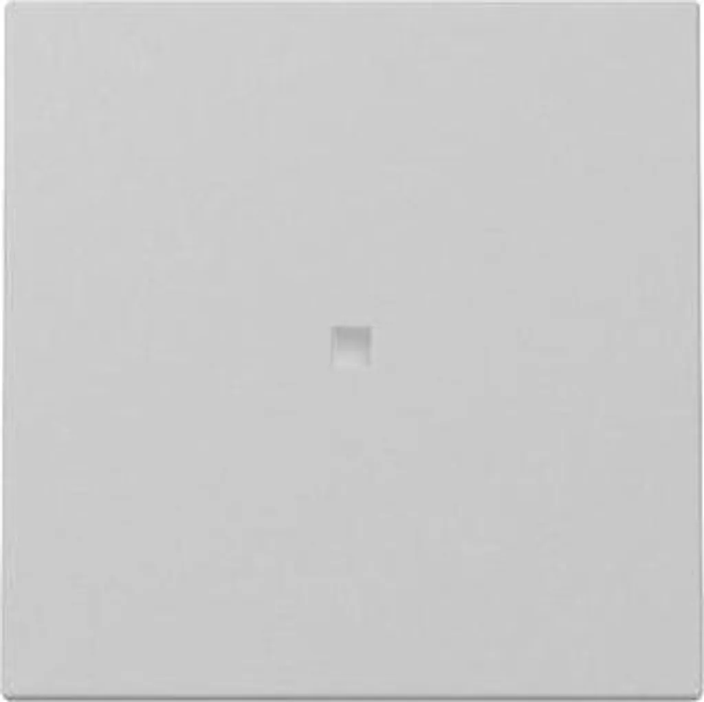 Plaque de Commande GIRA 3290015 Gris Mat pour Système 55 de Maison