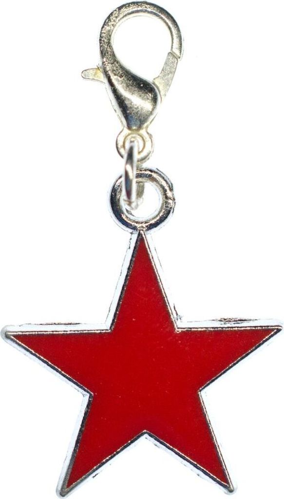 Stern Charm Anhänger Bettelarmband Miniblings Sterne Star Produktbild 