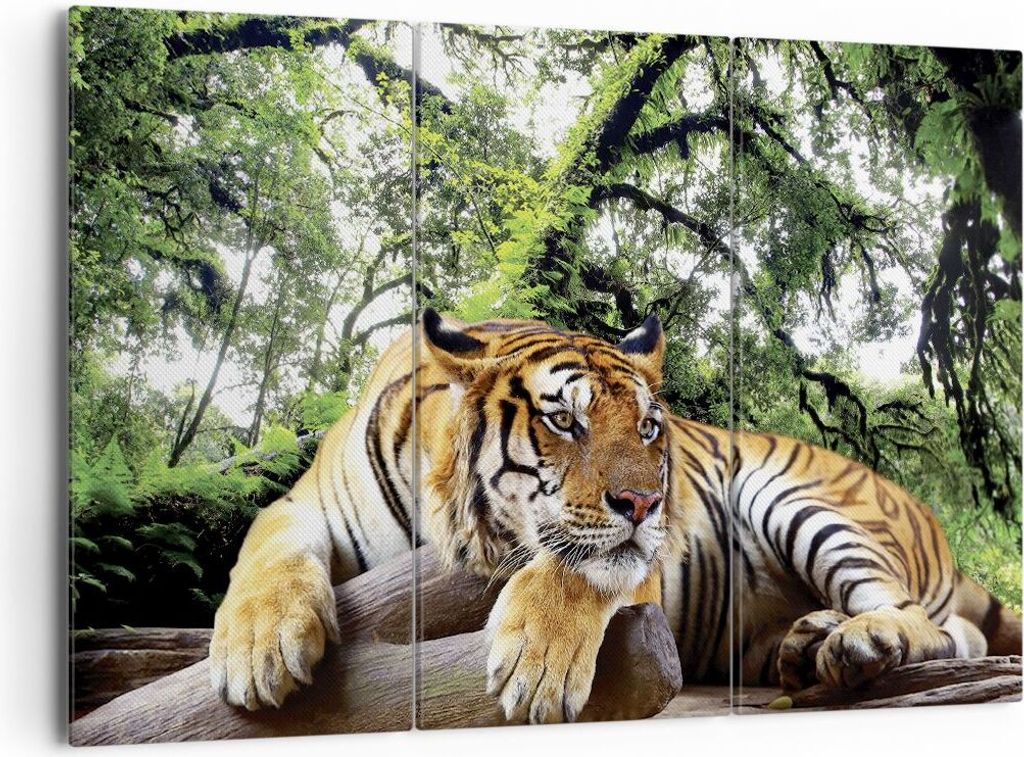Bild auf Leinwand - Leinwandbild - 3 Teile - Tiger Dschungel Ruhe - 165x110cm - Wand Bild - Wanddeko - Wandbilder - Leinwanddruck - Bilder - Wandde...