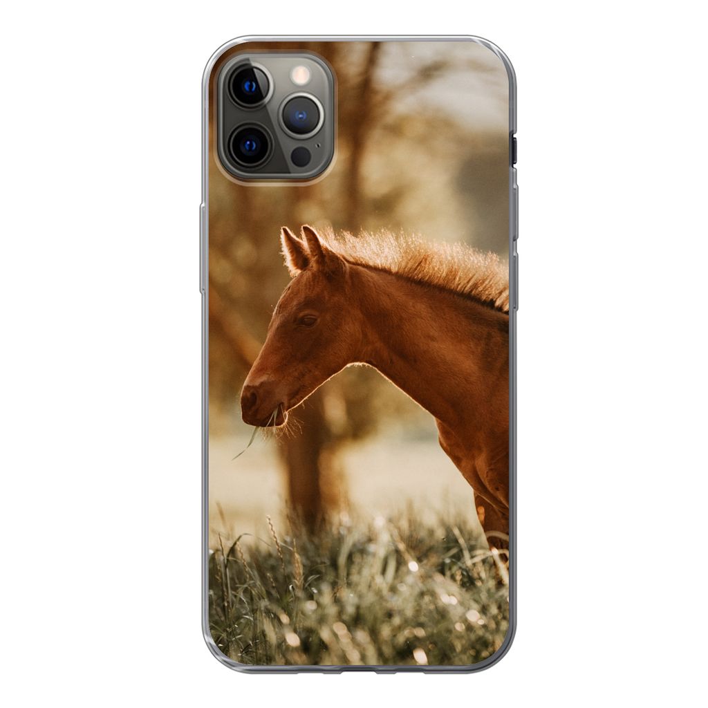 MuchoWow Handyhülle Schutzhülle Hülle für iPhone 12 Pro Max Pferd - Licht - Wiese Silikon Softcase Handy Hülle - Hartschale