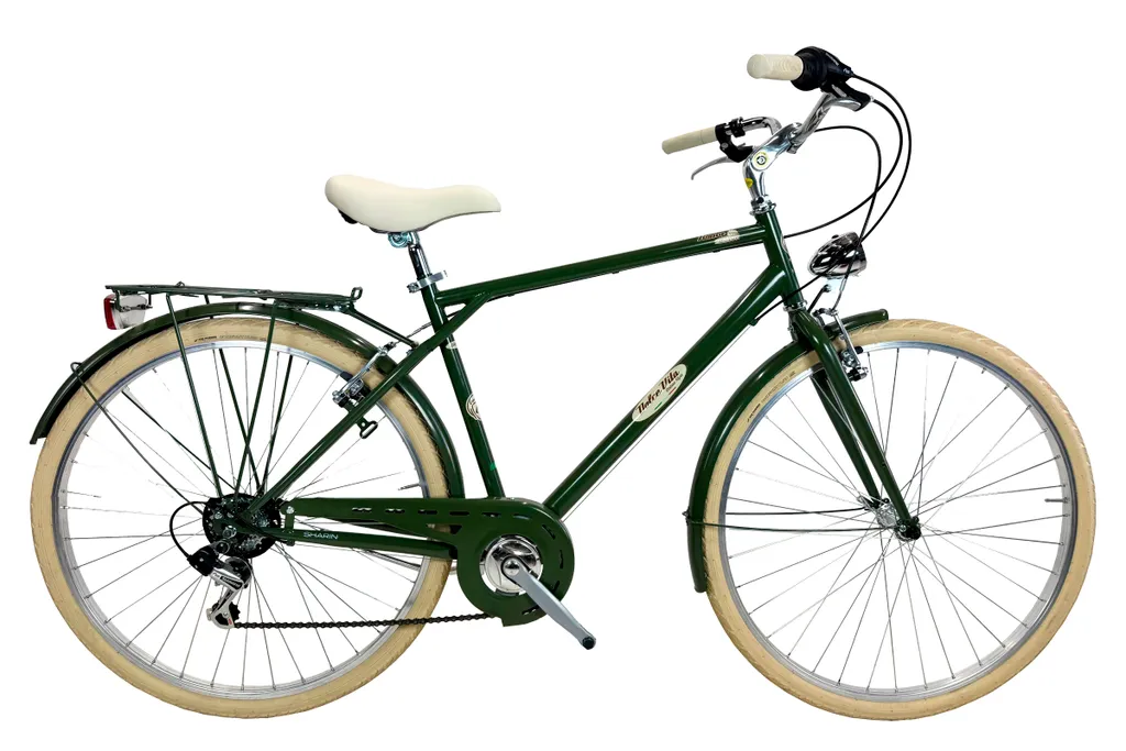 Vélo de ville Canellini ROMA 28 homme vert avec panier et dérailleur