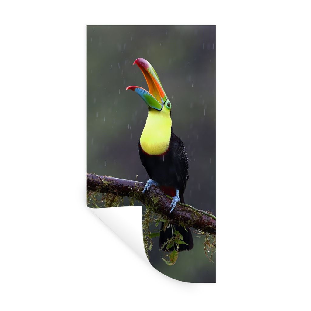 MuchoWow Wandtattoo Wandsticker Wandaufkleber Tukan im Regen 20x40 cm Selbstklebend und Repositionierbar - Selbstklebend - Fototapeten