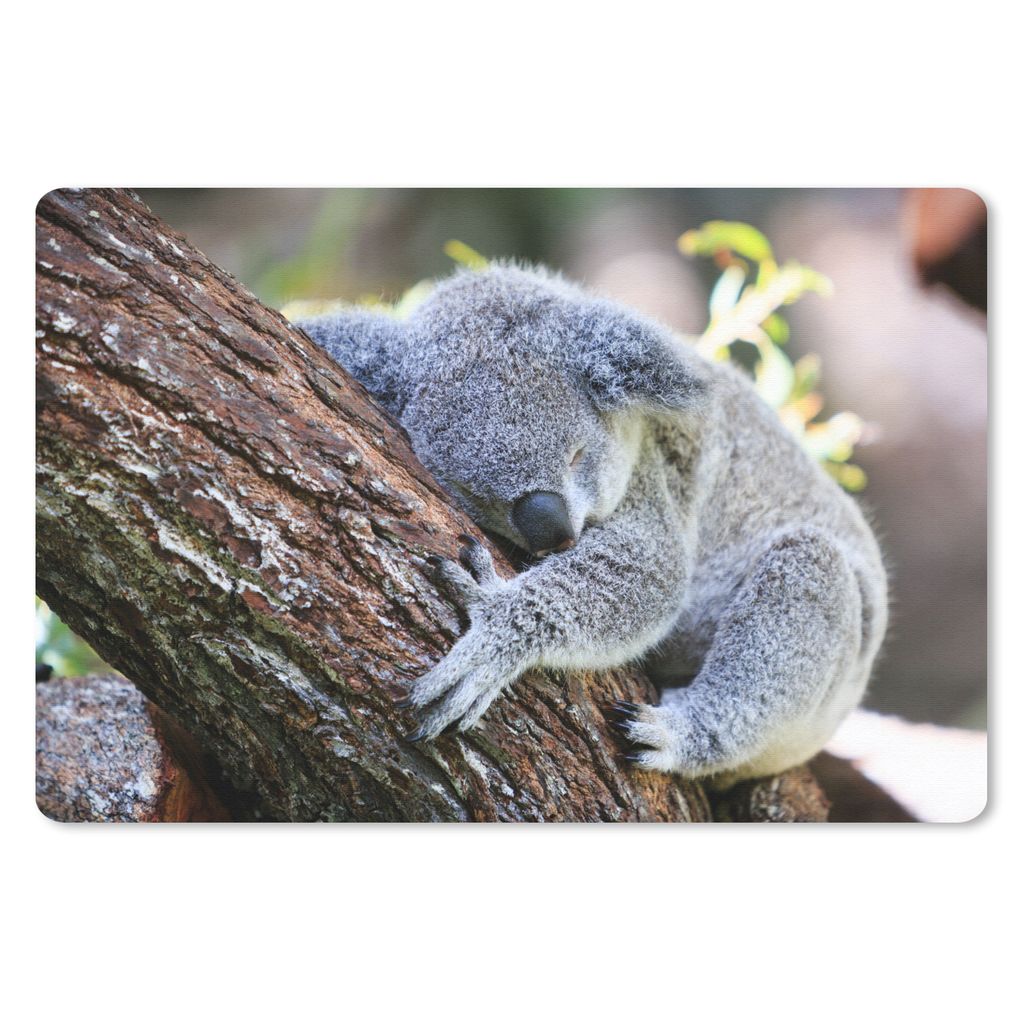 MuchoWow Schreibtischunterlage Koala - Kofferraum - Kuscheltier - Jungen - Mädchen 60x40 cm - XXL Mauspad - Großes Mauspad