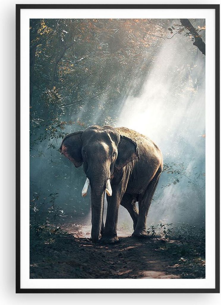 Gerahmtes Poster - Schwarzer Rahmen - elefant natur - 70x100 cm - Wand Bild - Wanddeko - Wandbilder - Kunstposter - Wandposter - Bilderrahmen - Bil...
