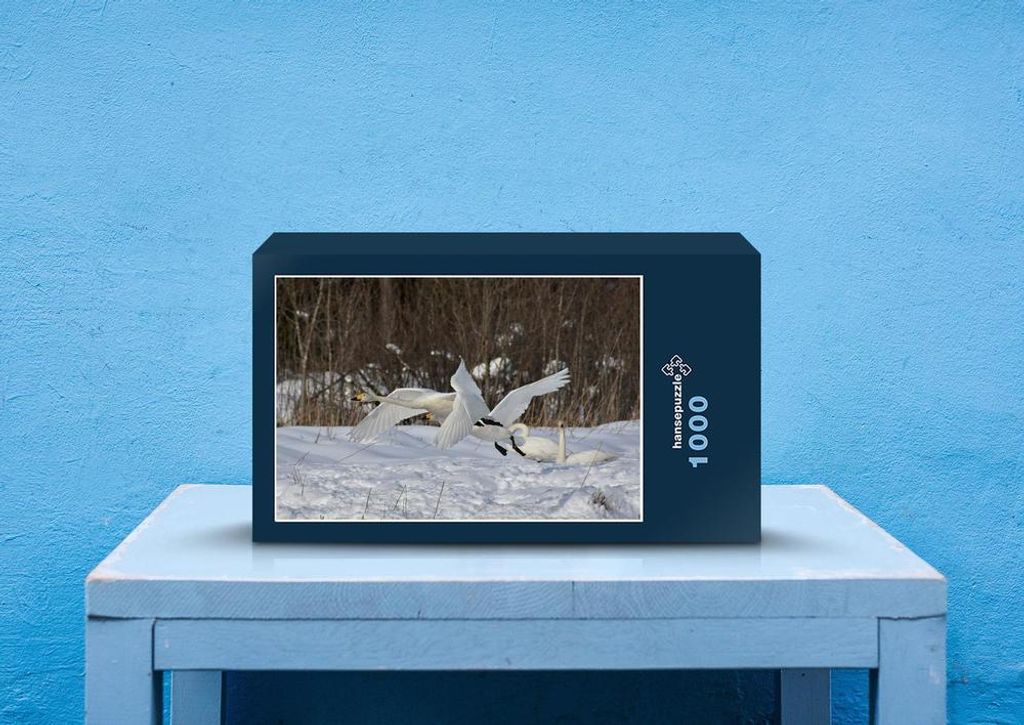 hansepuzzle 81071 - Gänse Puzzle, 1000 Teile, Tierwelt, 60,0 x 46,0cm mit hochwertiger Aufbewahrung, Kartonbox und wiederverschließbarem Beutel