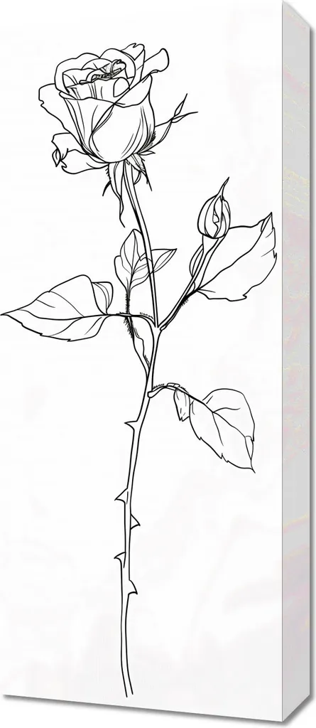 Analisi Quadro 30x70 cm Rosa - Qualità Tela e Stampa d'Arredo