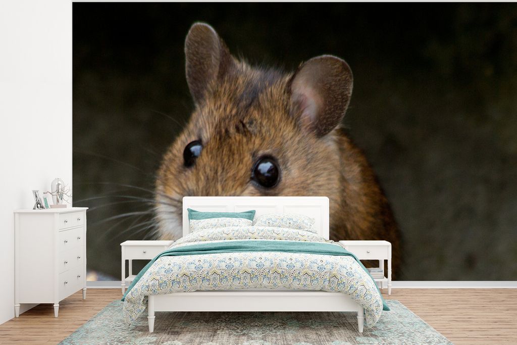 MuchoWow Fototapete für Wohnzimmer oder Schlafzimmer Wandtapete Vinyl Motivtapete Maus beim Frühstück - 350x260 cm - Wohnzimmer-Tapete