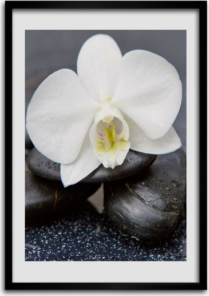 Bild - Bilderrahmen - Foto - 70 cm x 100 cm - MDF - Rahmen - Wandkunst - Orchidee und Steine