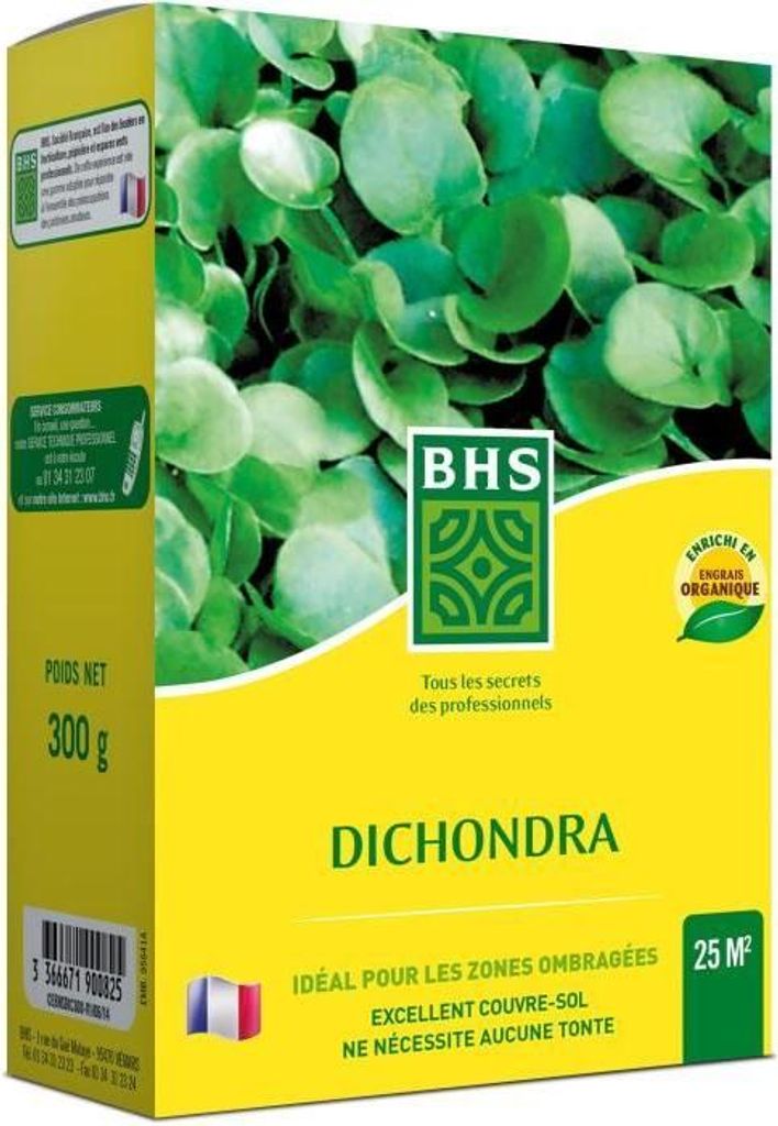 Kikuyu - BHS - 300 g - 25 m² - Mediterranes Klima - Hitzebeständig und trittfest