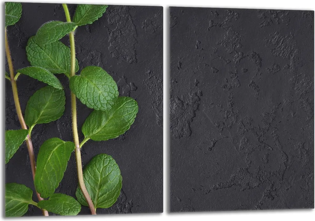 Protezione Piano Cottura Vetro Ardesia Menta 2x 40x52cm per Induzione