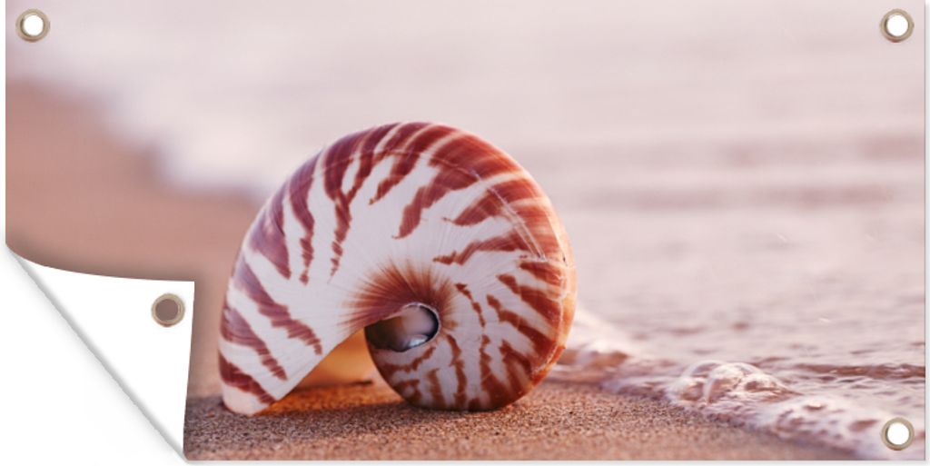 MuchoWow 160x80 cm Outdoor-Poster Gartendeko Sichtschutz Garten Poster für den Garten Muschel - Strand - Meer - Sand