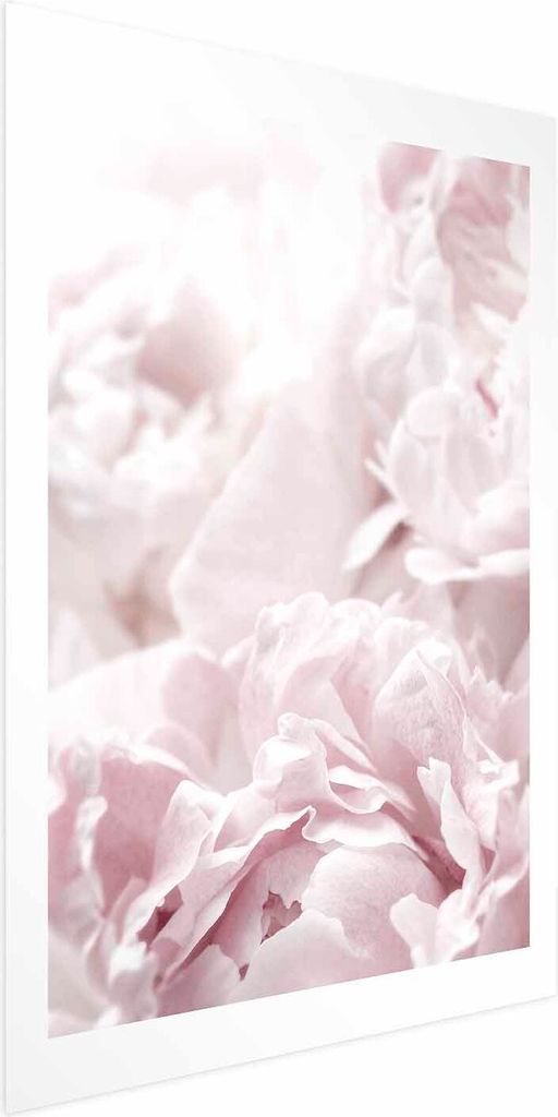 Posterpapier Poster - Fluffy Peonies 29.7x42 cm Blumen b-B-0340-ao-a