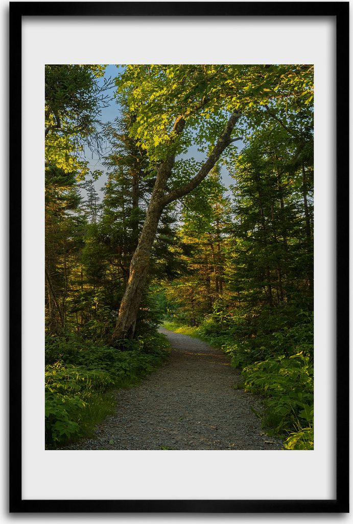 Bild - Bilderrahmen - 40 cm x 60 cm - MDF - Rahmen - Wandkunst - Pfad im Wald