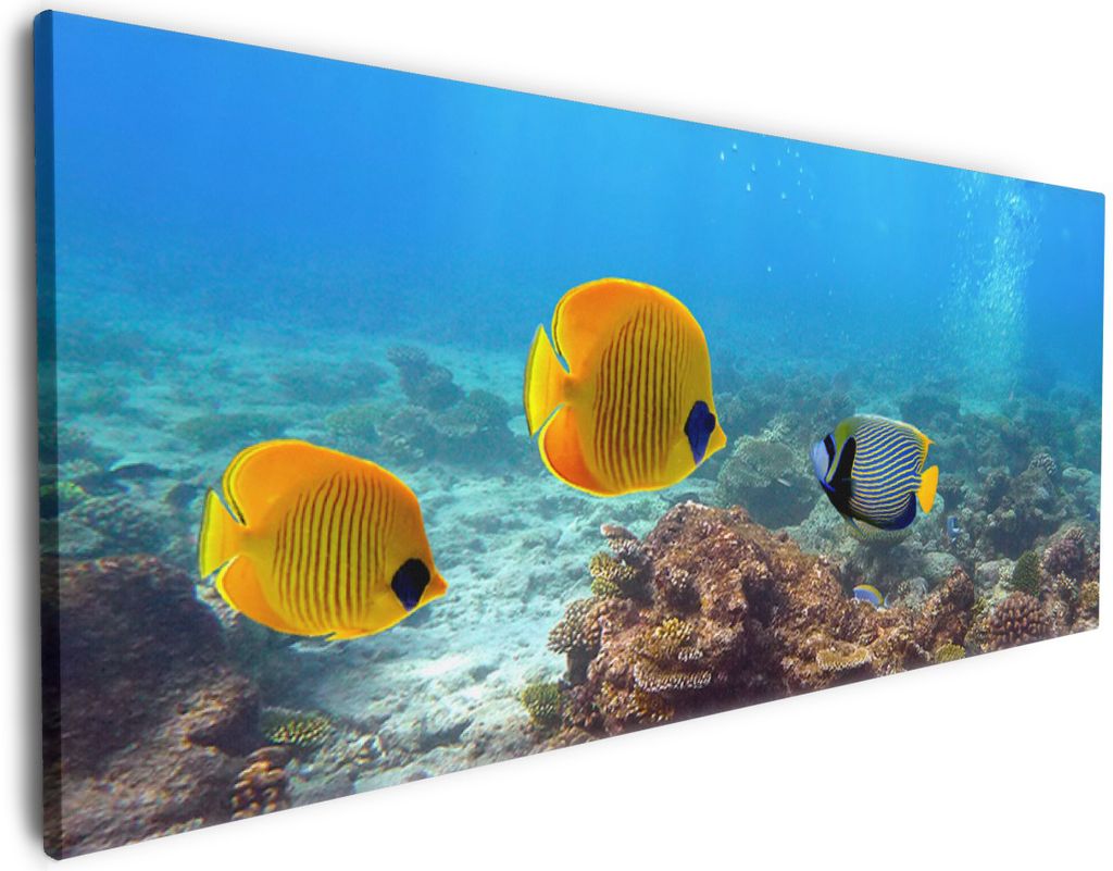Wallario Premium Leinwandbild Bunte Fische im Meer in Größe 60 x 150 cm