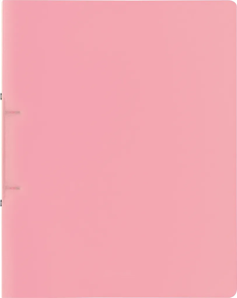 Classeur BRUNNEN 106551621 RingbA4 16mm 2R Rose Pastel FACT ! professionnel