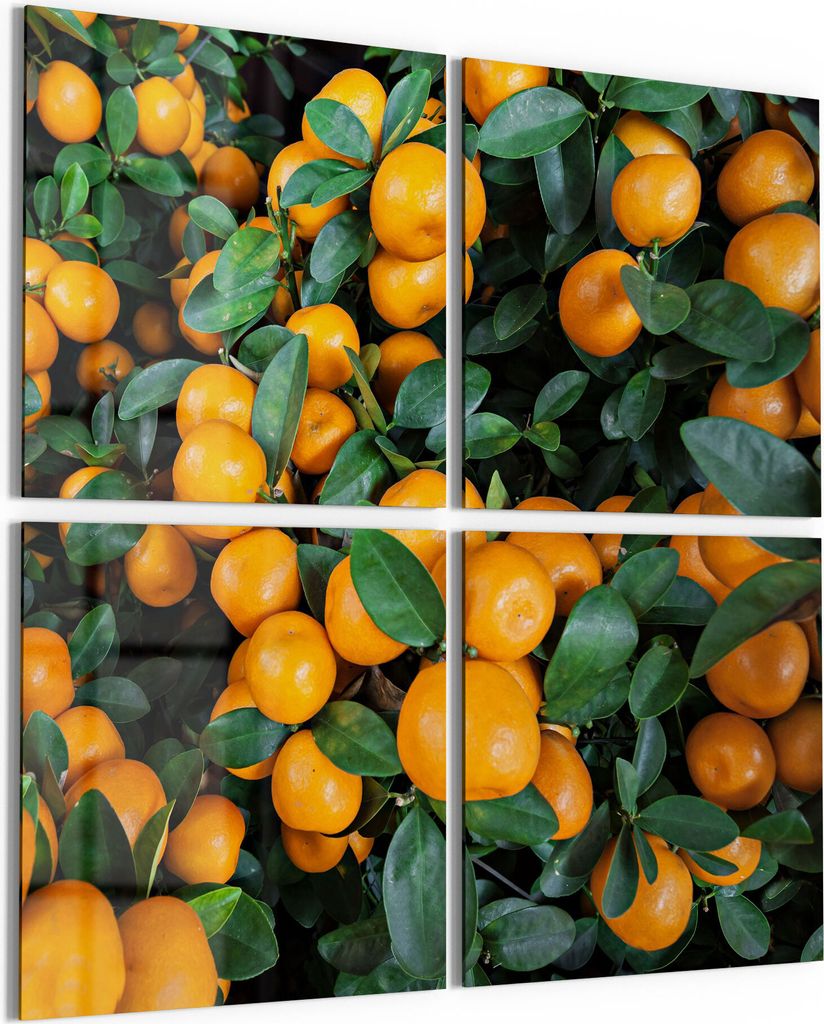 DEQORI Glasbilder Acryl 4x50x50 cm 'Mandarinenbaum nah' Wandbilder XXL groß