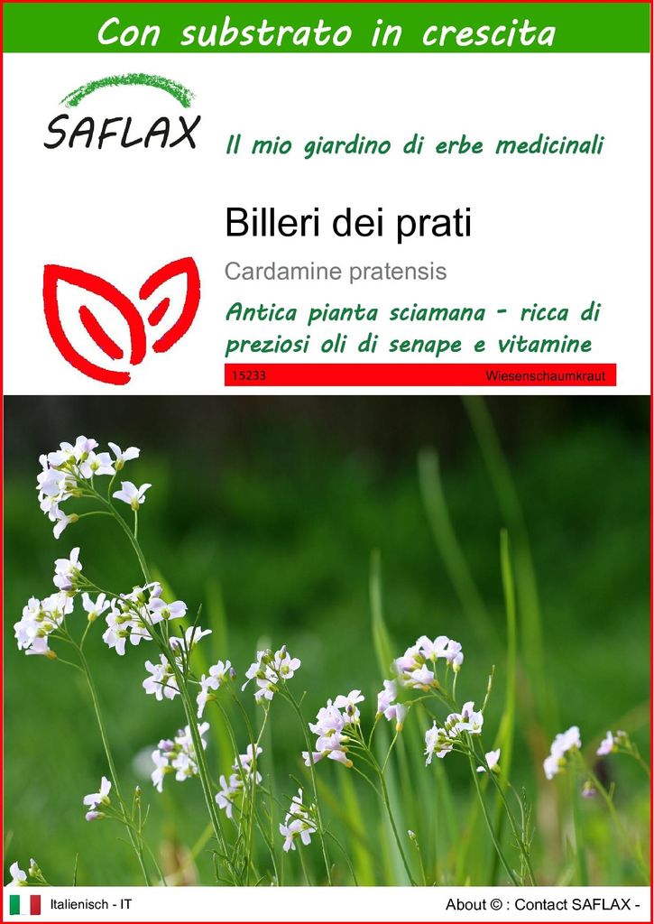 SAFLAX  - Billeri dei prati - 100 semi - Con substrato - Immagine del prodotto 