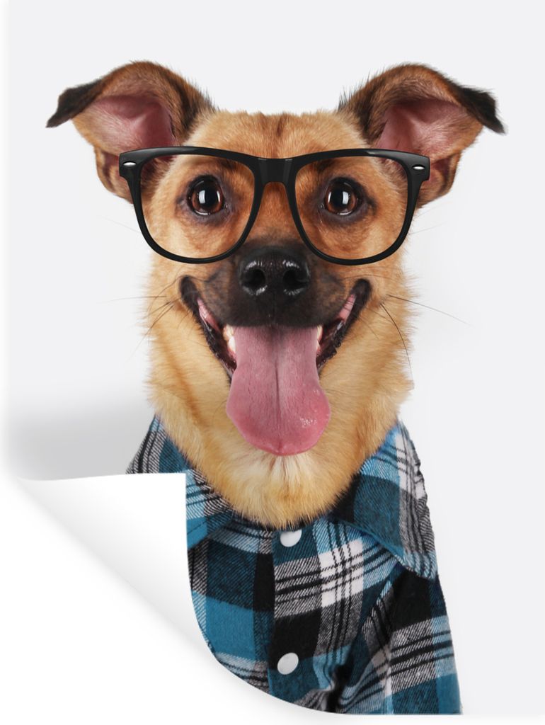 MuchoWow - Wierderverwendbar - Selbstklebend