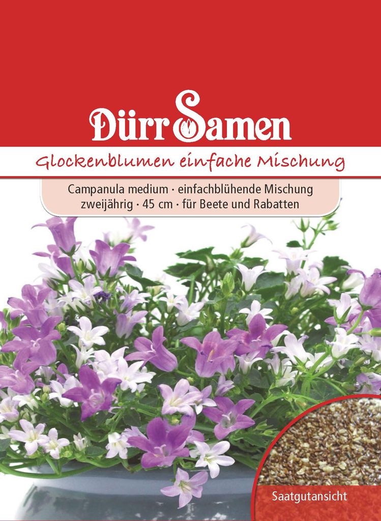 Glockenblume einfache Mischung | Glockenblumensamen von Produktbild 