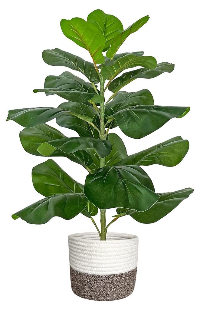 Künstlicher Ficus, 78 cm hoch, künstliche Pflanze im geflochtenen Topf, künstlicher Baum, Kunstpflanze für Wohnzimmer, Schlafzimmer, Büro, Gar...
