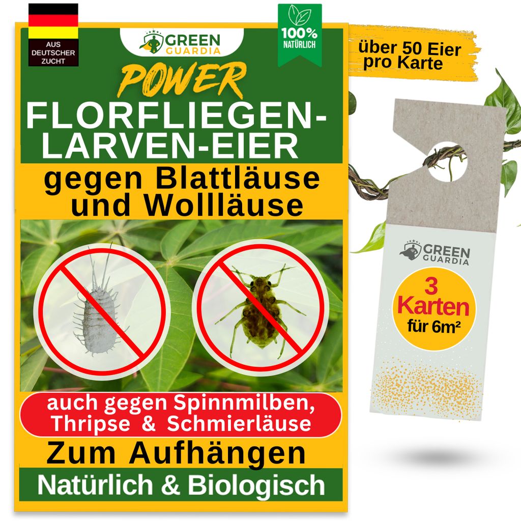 Green Guardia Florfliegenlarven gegen Blattläuse und Produktbild 
