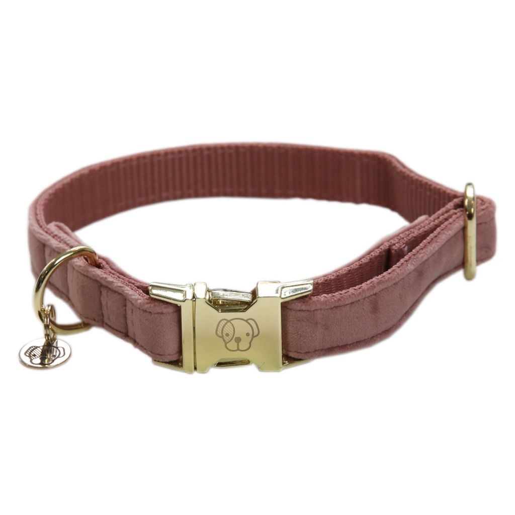 Kentucky Dogwear Velvet Dog Collar Hundehalsband