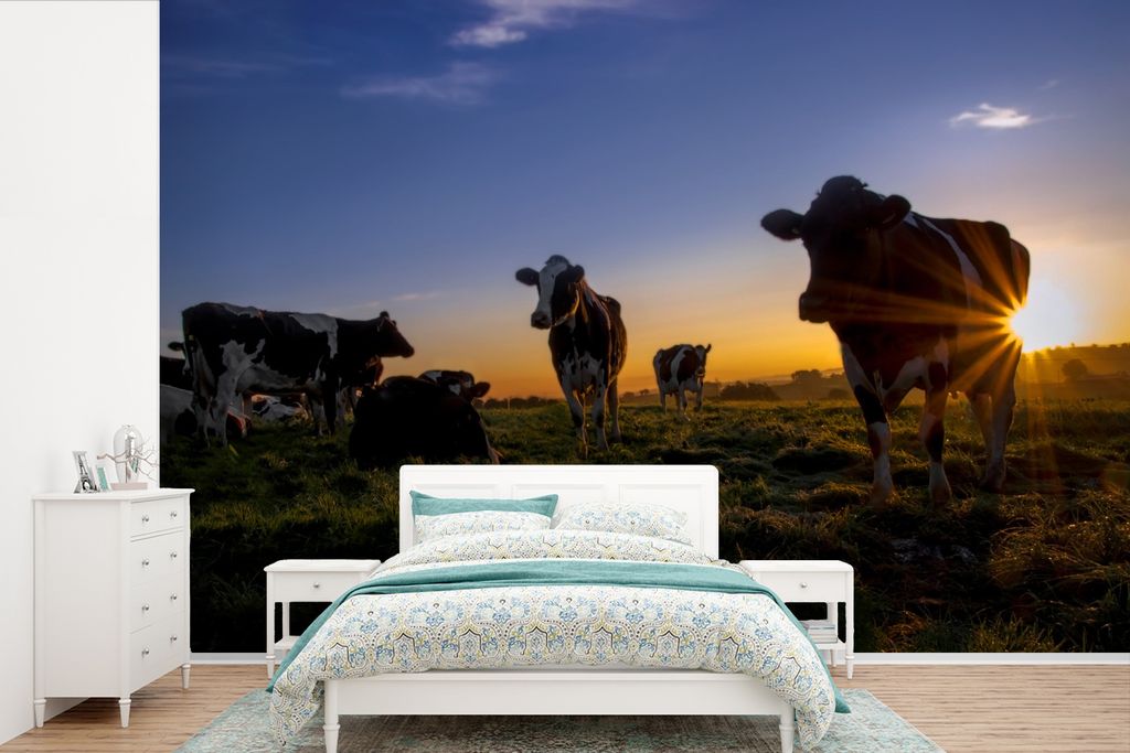 MuchoWow Fototapete für Wohnzimmer oder Schlafzimmer Wandtapete Vinyl Motivtapete Kühe - Sonne - Himmel - 600x400 cm - Vinyltapeten