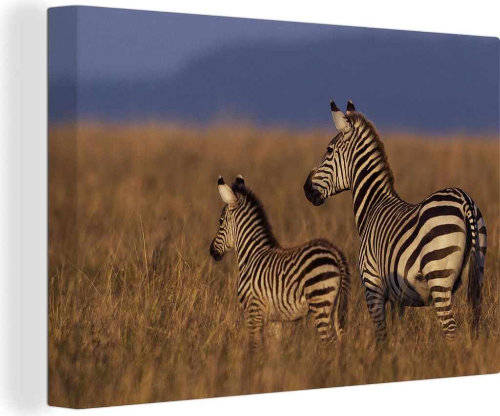 OneMillionCanvasses - Leinwandbilder - 140x90 cm, Mutter und Babyzebra, Wandbilder Kunstdruck Wanddekoration - Foto auf Leinwand - Gemälde auf H...