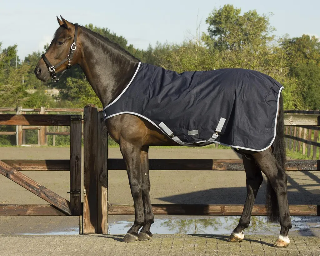 Chemise de marcheur légère bleue 205cm imperméable pour le sport
