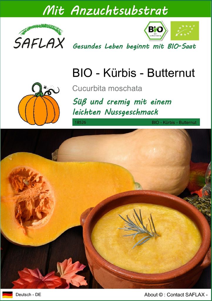 SAFLAX - BIO - Kürbis - Butternut - 6 Samen - Mit Produktbild 